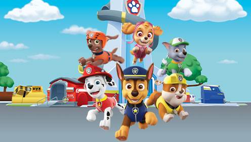 Paw Patrol S06 B09